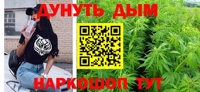стаф Берёзовский