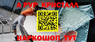 стаф Берёзовский
