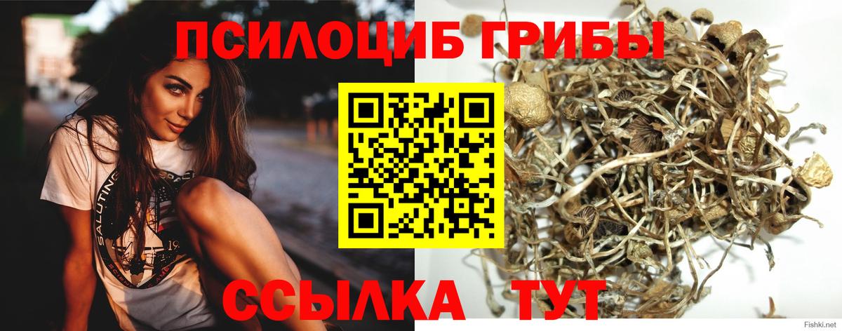 Галлюциногенные грибы Psilocybine cubensis  Вход с VPN  Ипатово  Галлюциногенные грибы ЛСД 